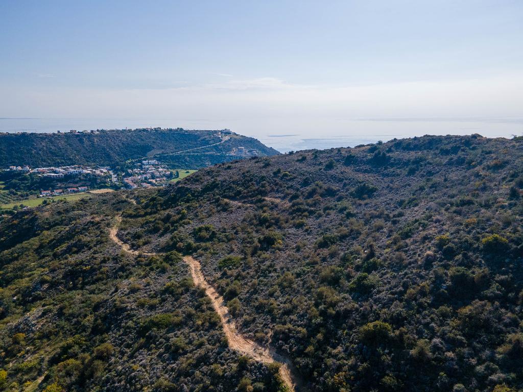 Field-Pissouri-PR37109