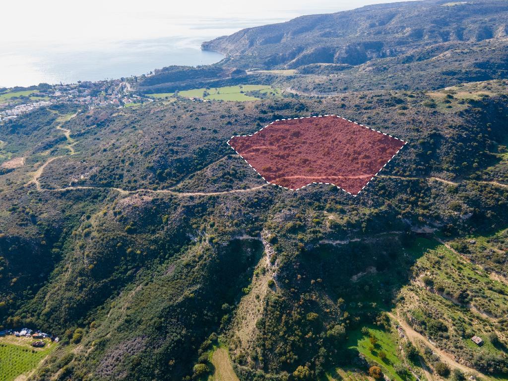 Field-Pissouri-PR37109