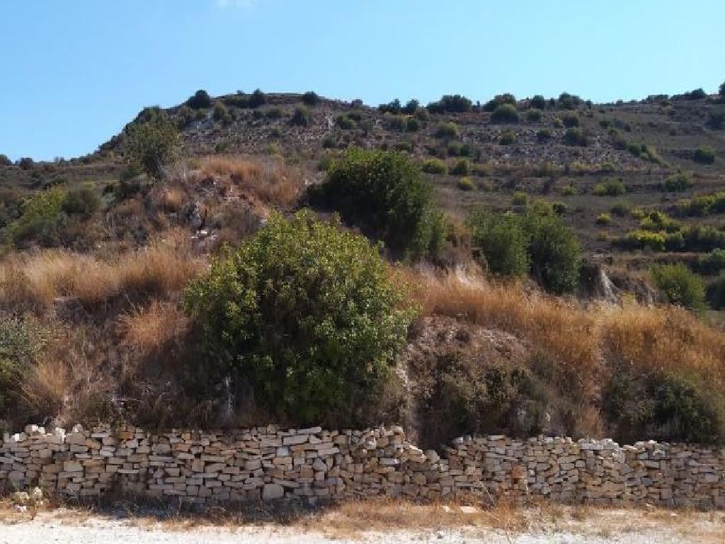 Field-Pachna-PR37152