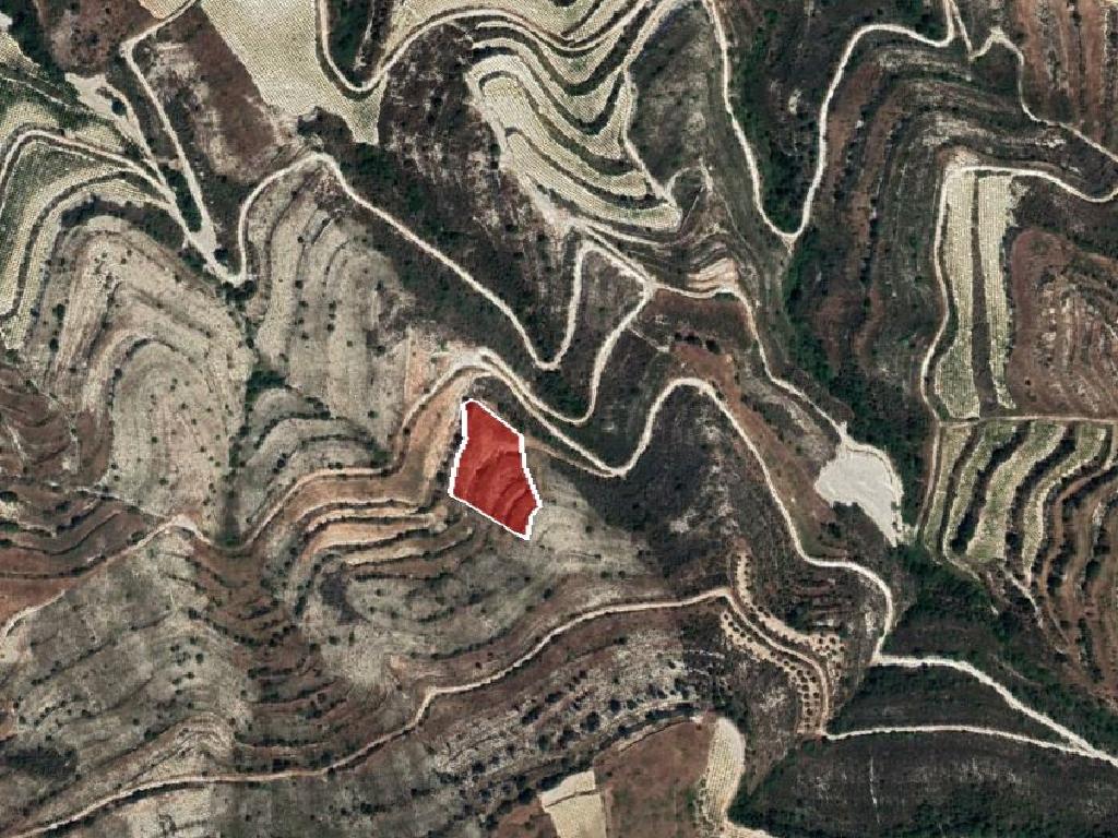 Field-Pachna-PR37152