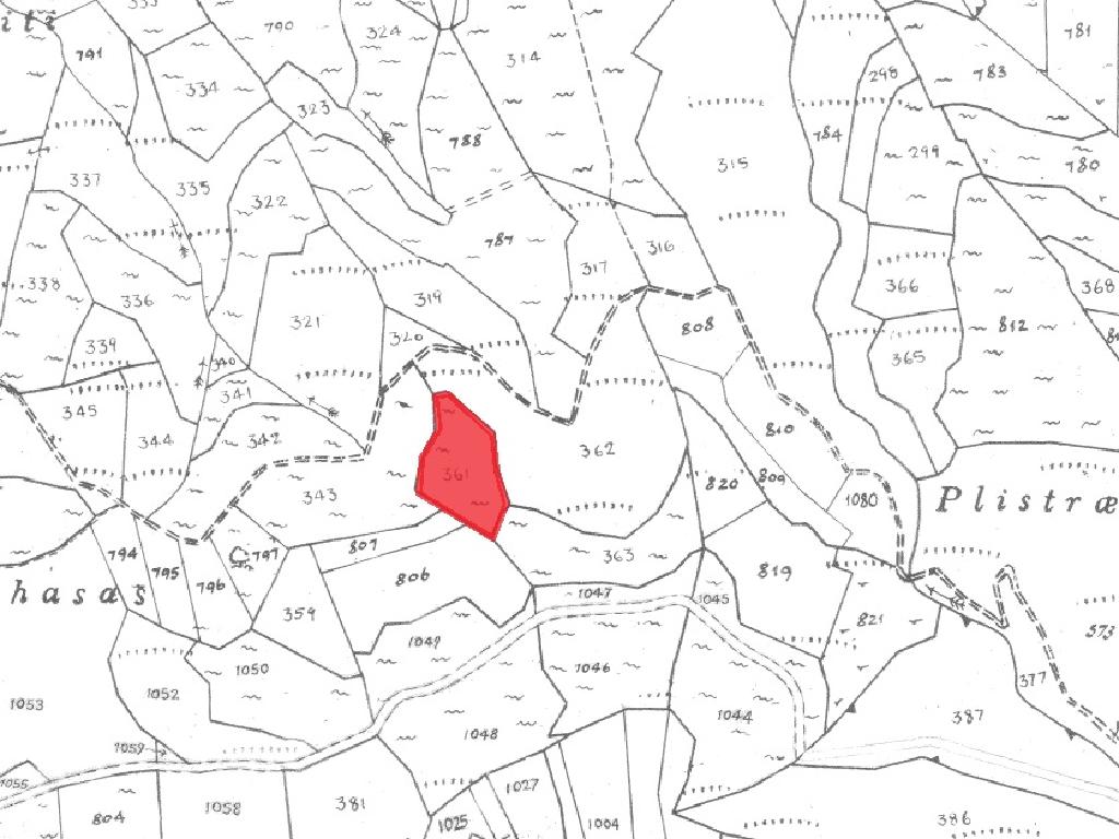 Field-Pachna-PR37152