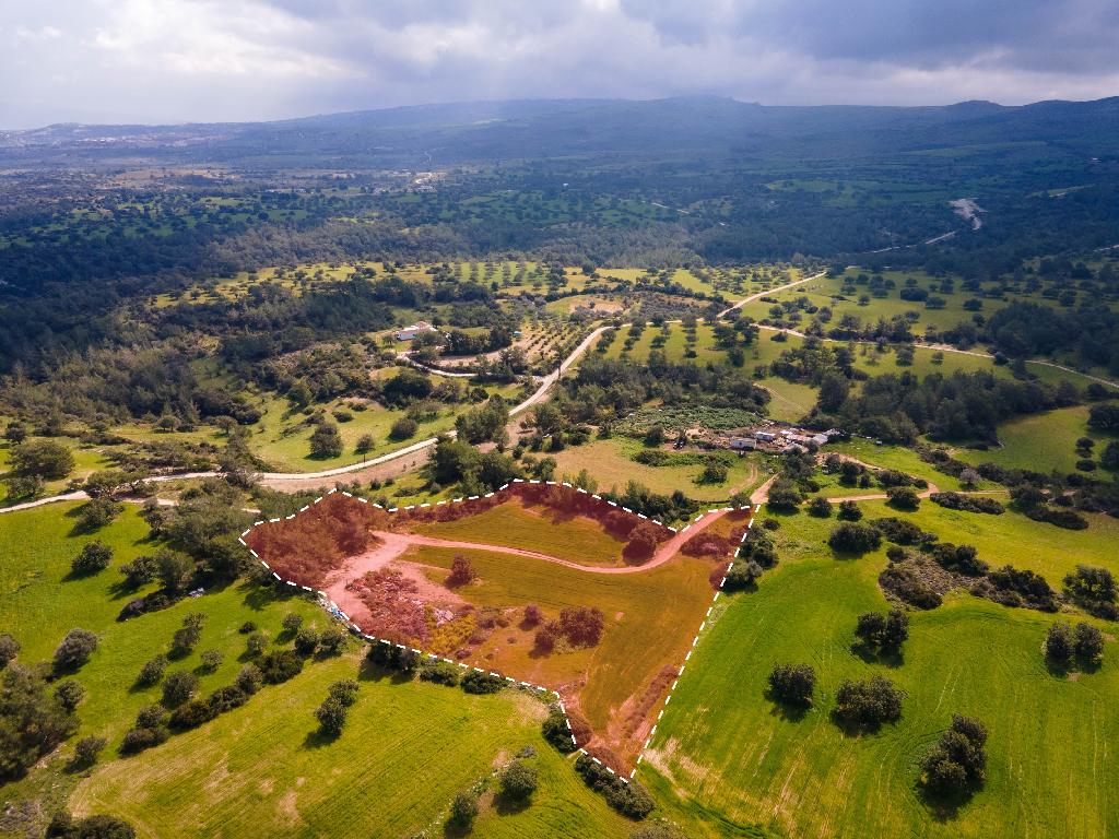 Field (Share) - Neo Chorio, Paphos