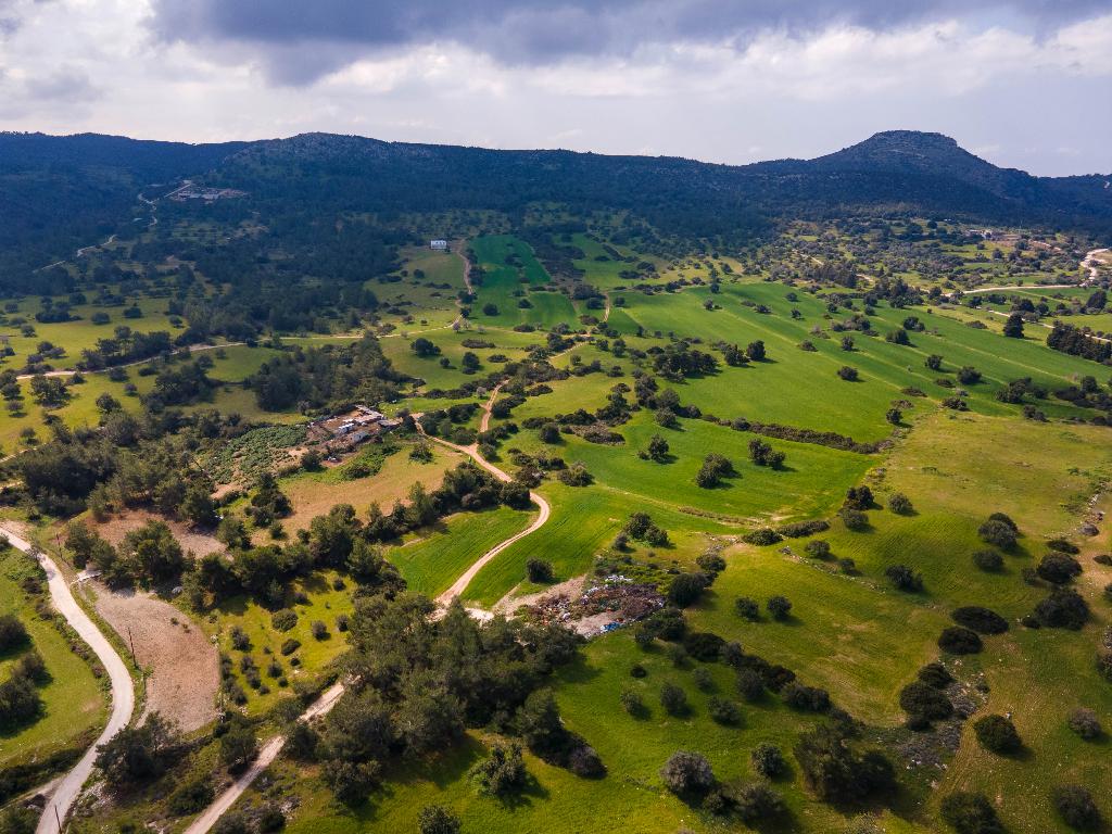 Field (Share) - Neo Chorio, Paphos