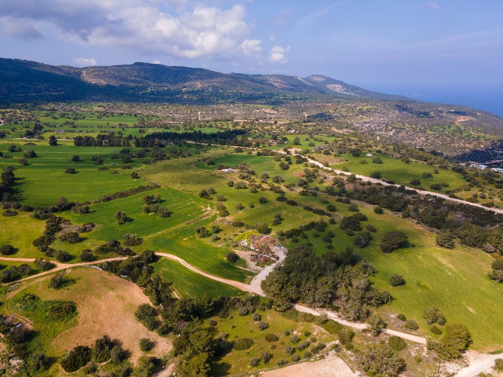 Field (Share) - Neo Chorio, Paphos