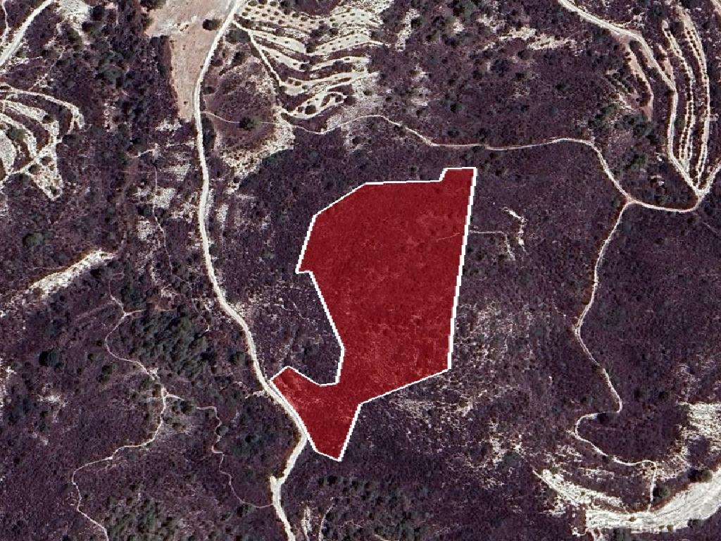 Field-Asgata-PR39362