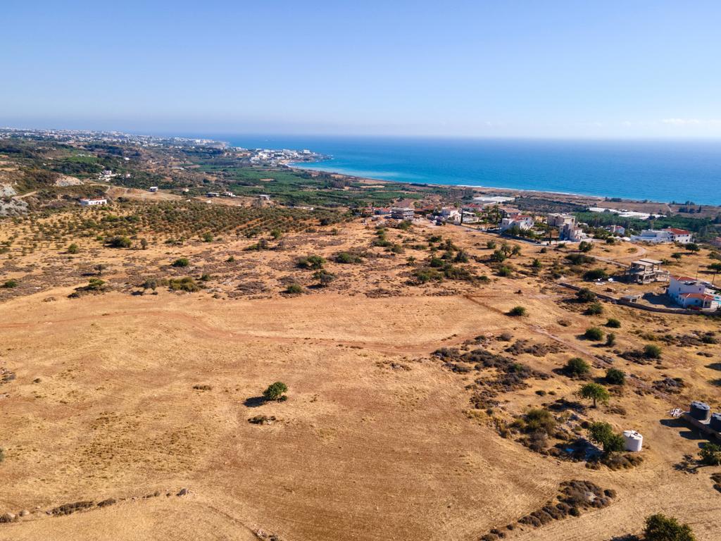 Field-Pegeia-PR39809
