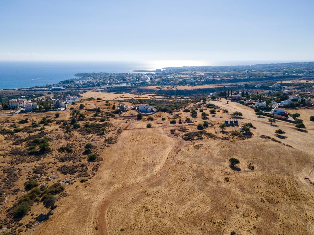 Field-Pegeia-PR39809
