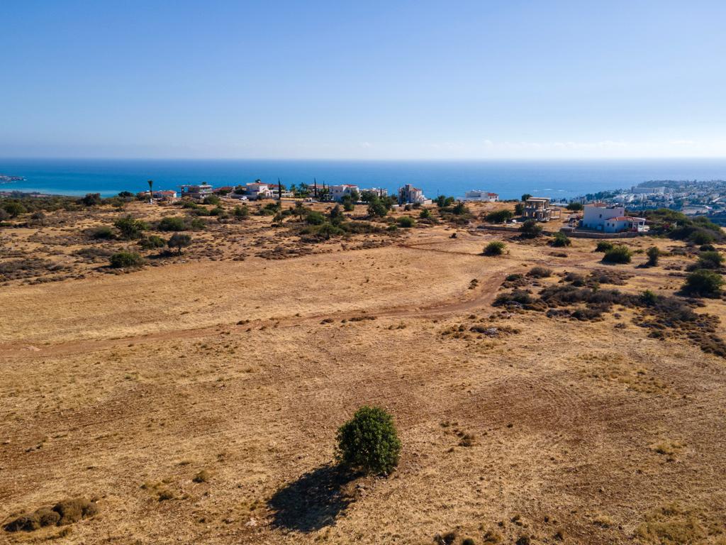 Field-Pegeia-PR39809