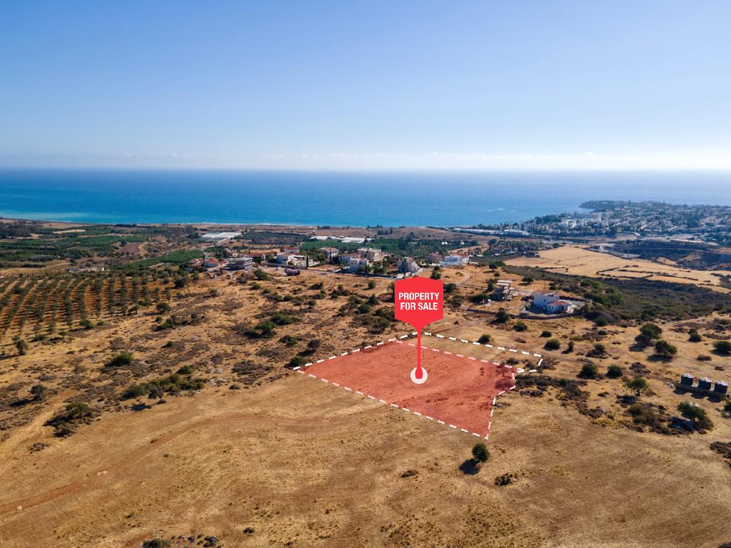 Field-Pegeia-PR39809