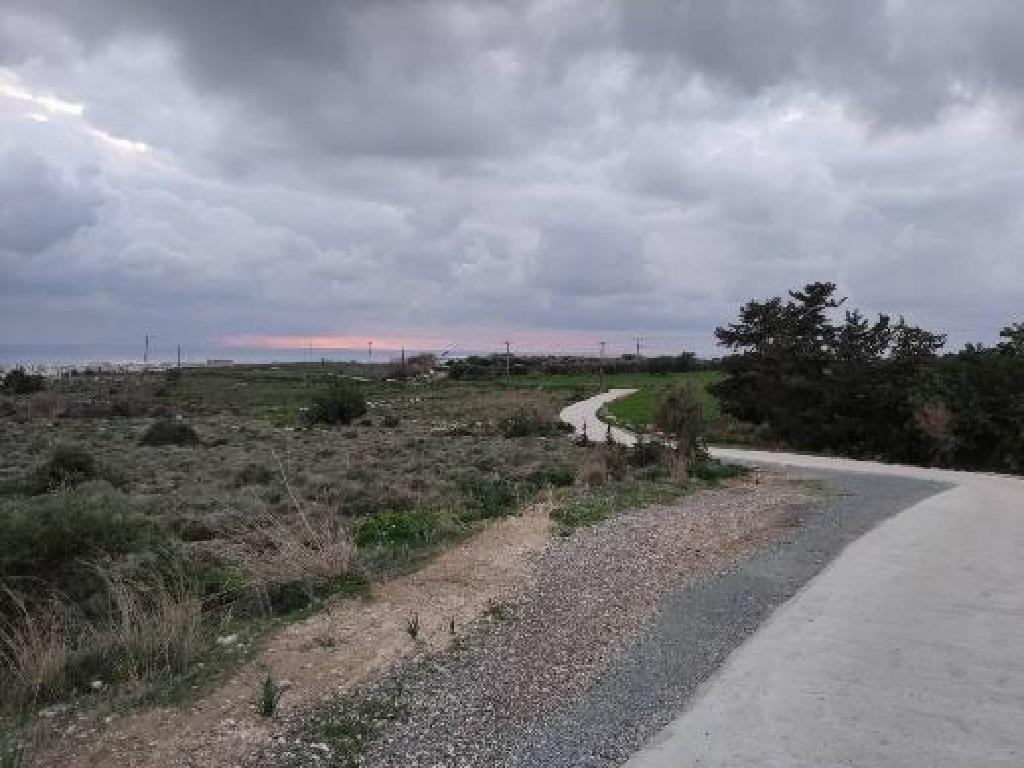 Field (Share) - Konia, Paphos