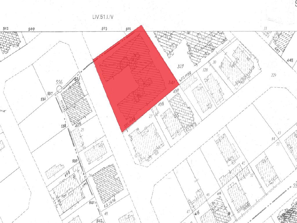 Flat-Mesa Geitonia-PR41351