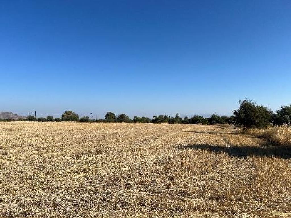 Field-Klirou-PR42067