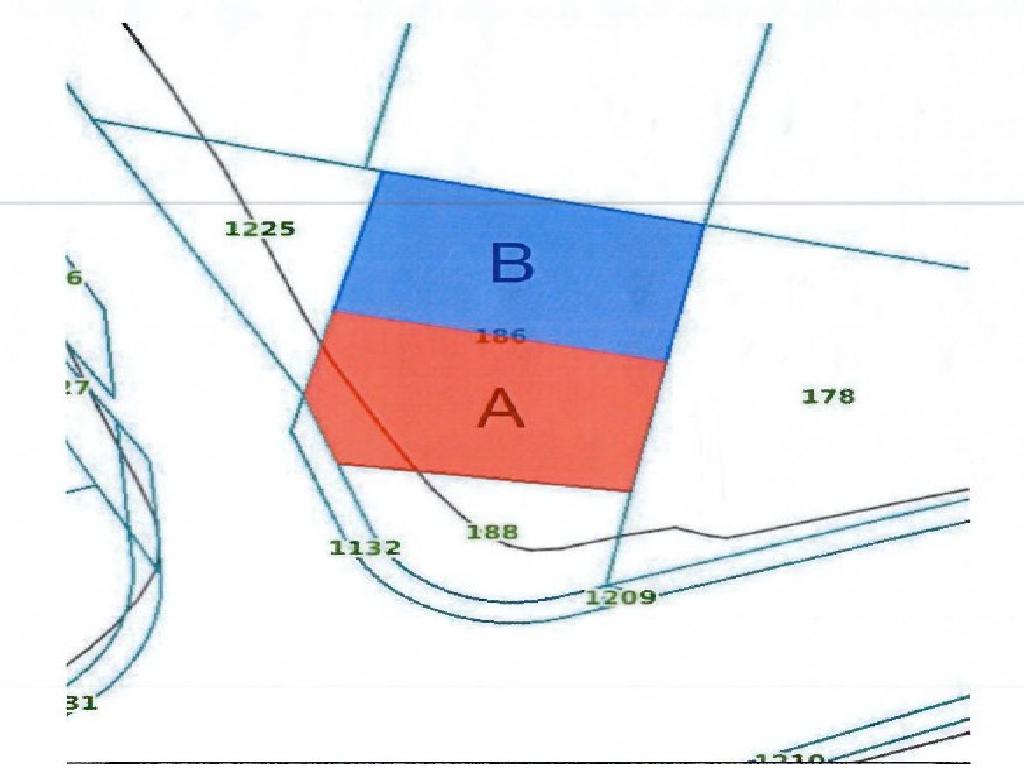 Field-Paralimni-PR42640