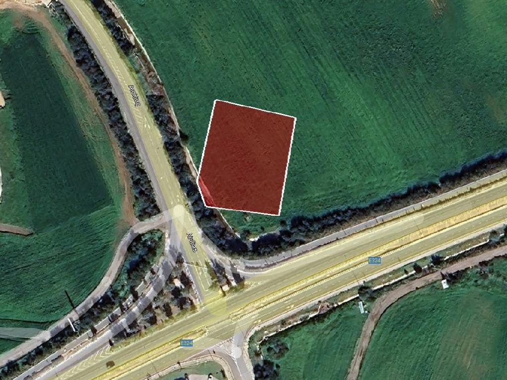 Field-Paralimni-PR42640