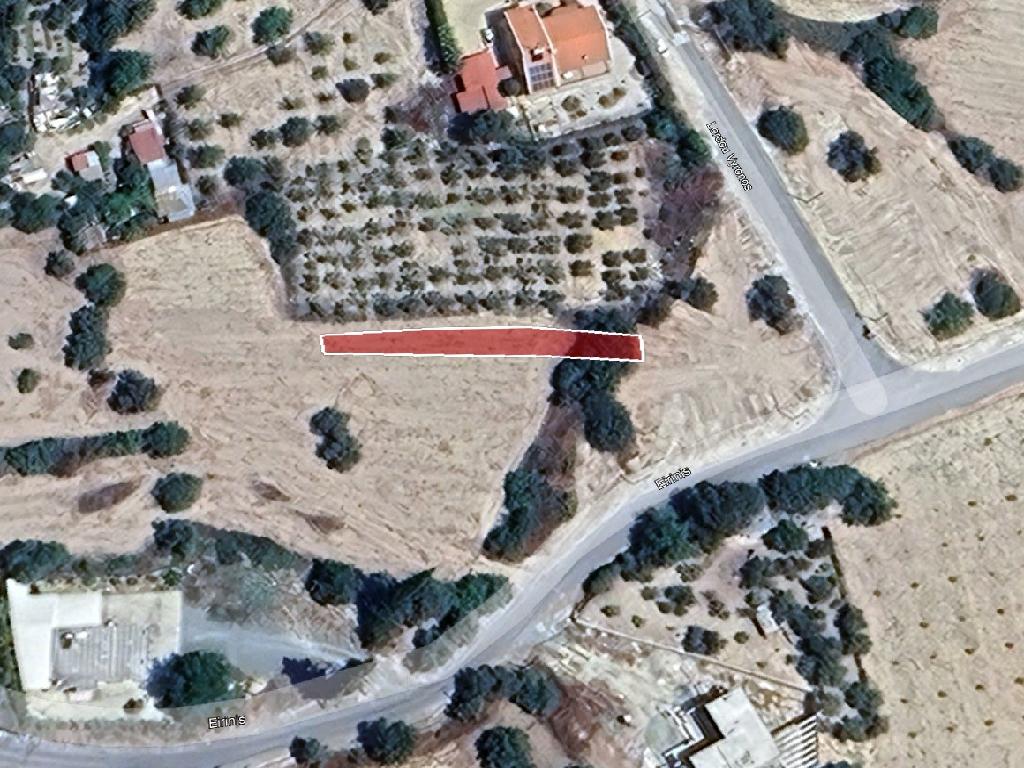 Field-Paramytha-PR44232