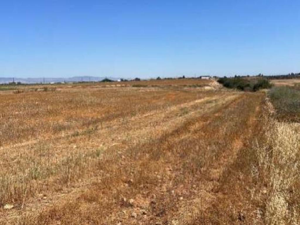 Field - Achna, Famagusta