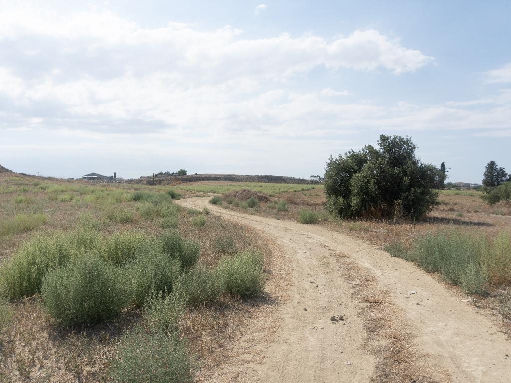 Field-Ergates-PR12215