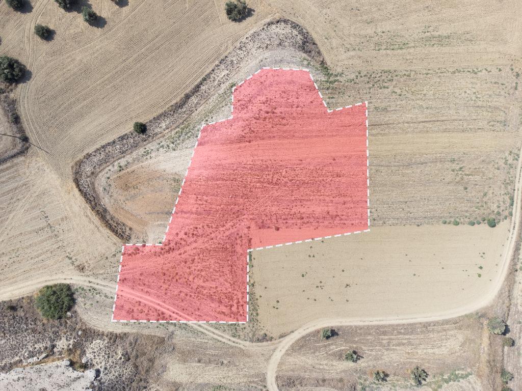 Field-Ergates-PR12215