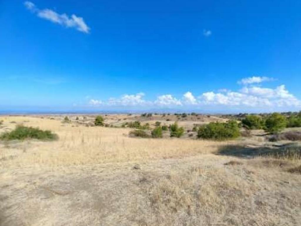 Field-Nikitari-PR33555