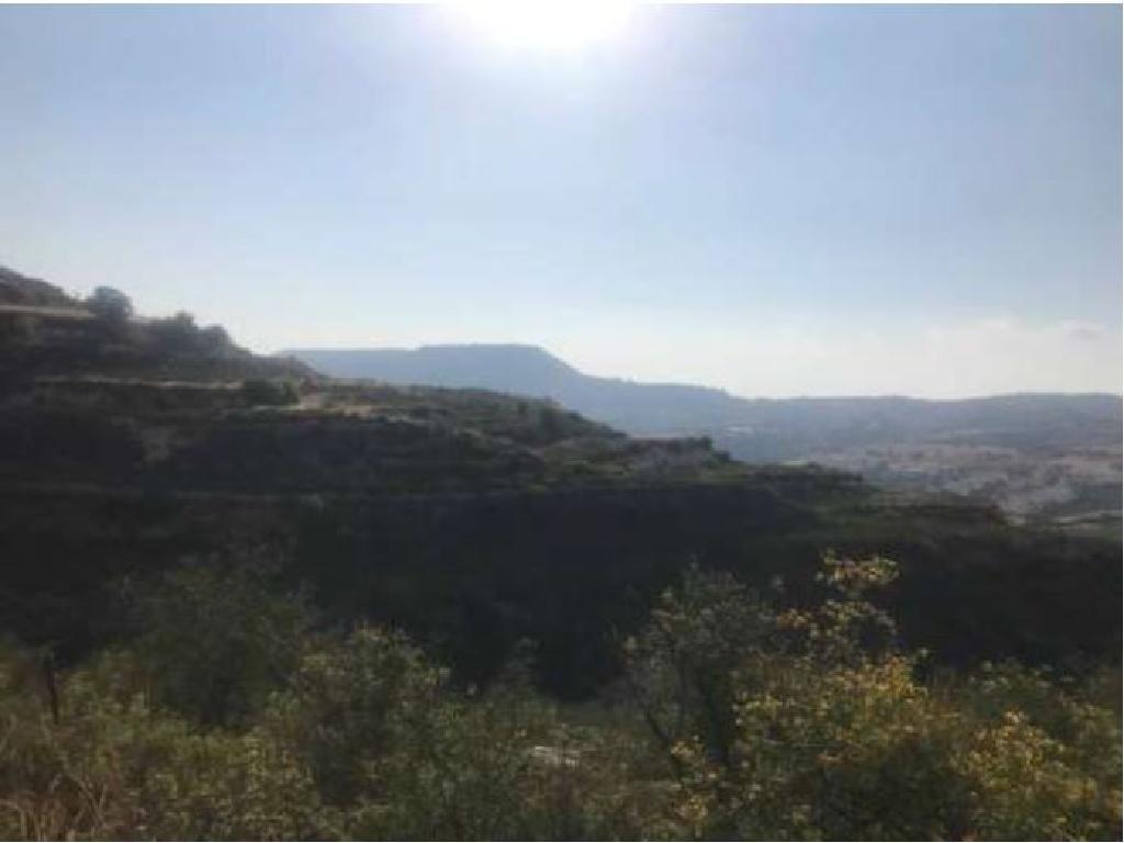 Field-Pachna-PR35257