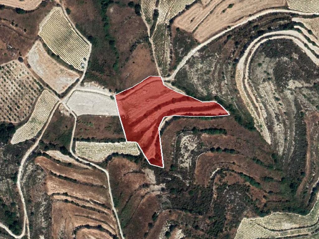 Field-Pachna-PR35257