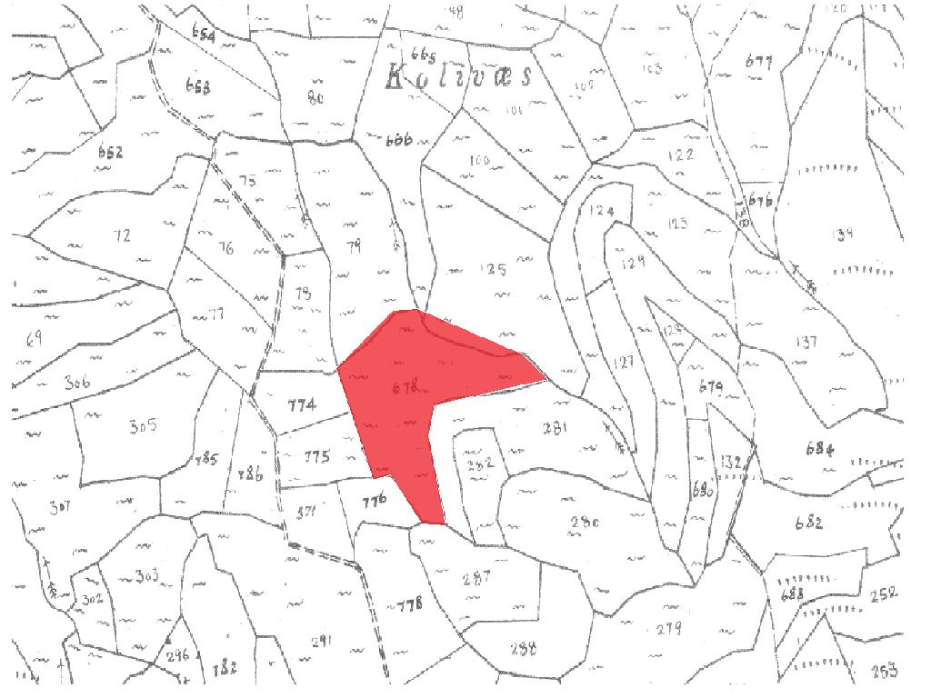 Field-Pachna-PR35257