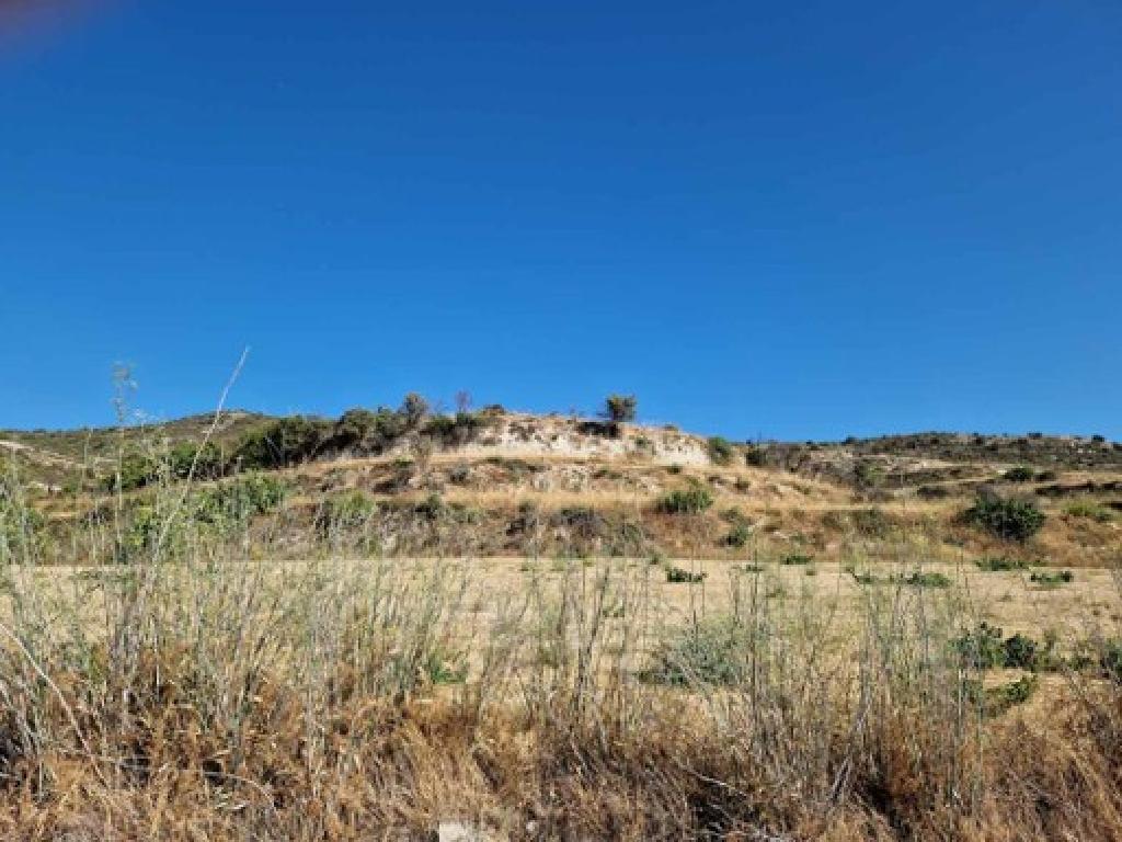 Field - Pachna, Limassol