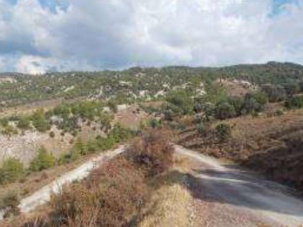 Field-Salamiou-PR34887