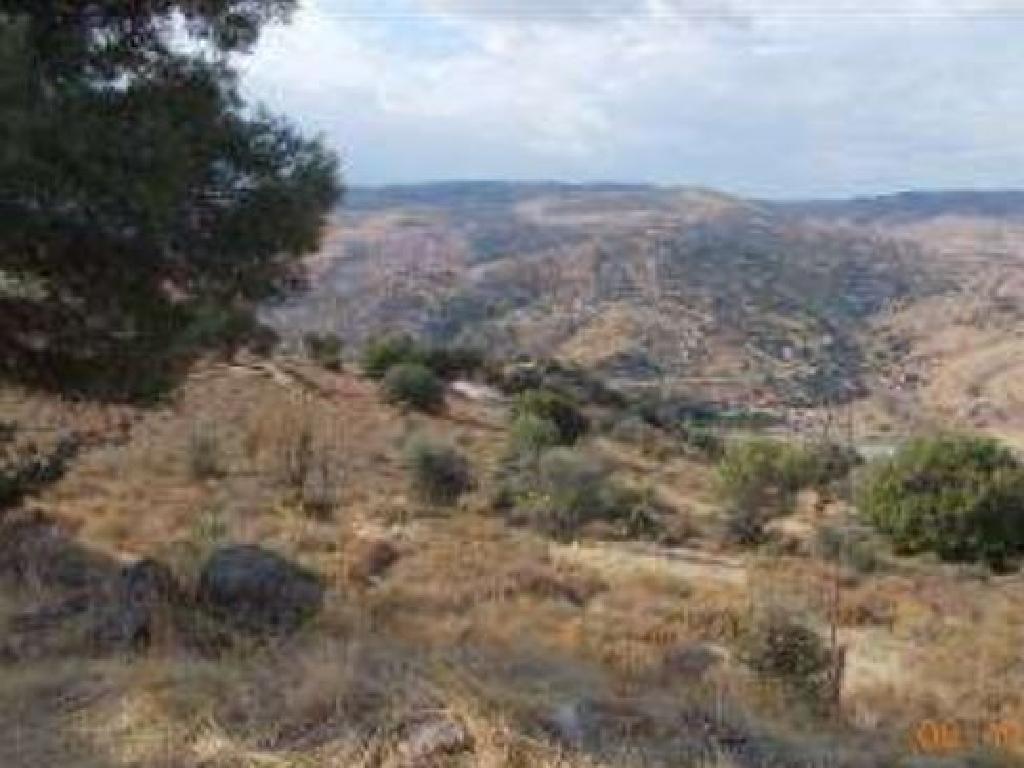 Field-Salamiou-PR34887