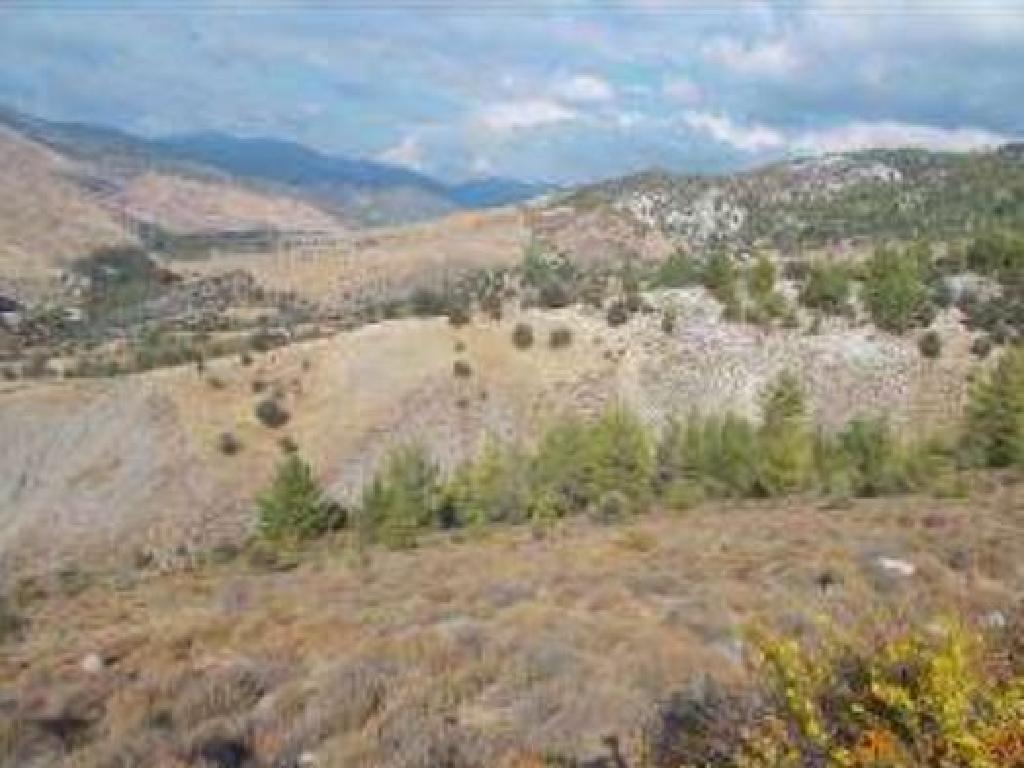 Field-Salamiou-PR34887