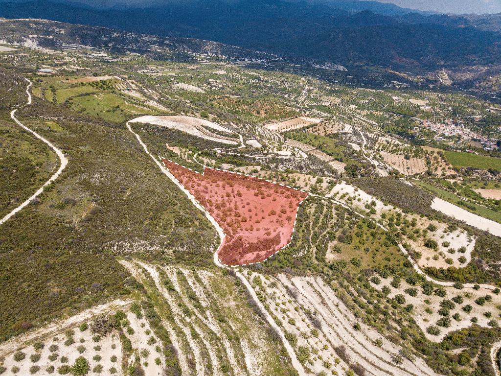 Field - Laneia, Limassol