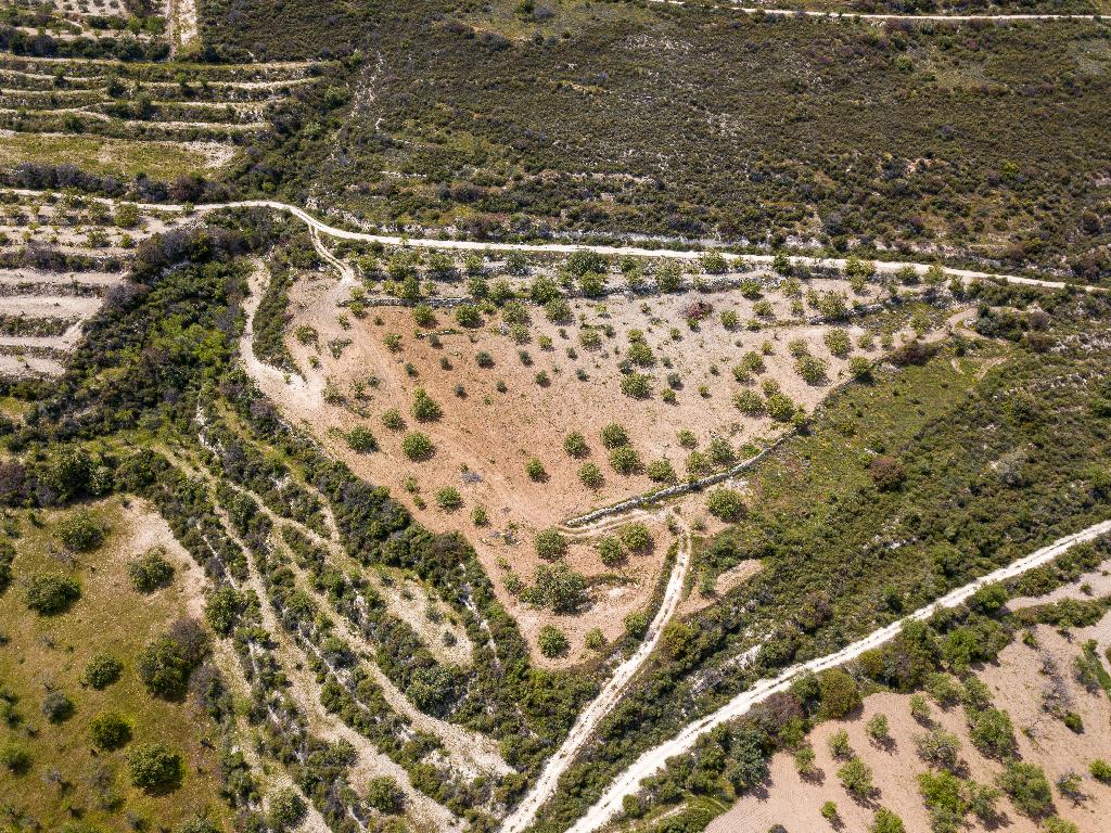 Field - Laneia, Limassol