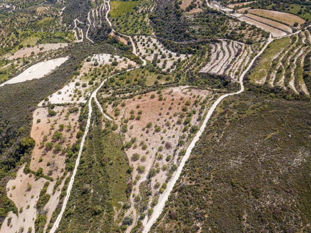 Field - Laneia, Limassol