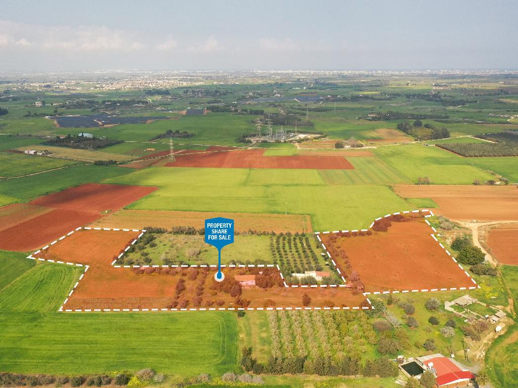 Field-Frenaros-PR35016