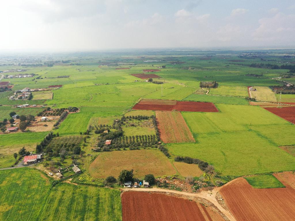 Field-Frenaros-PR35016
