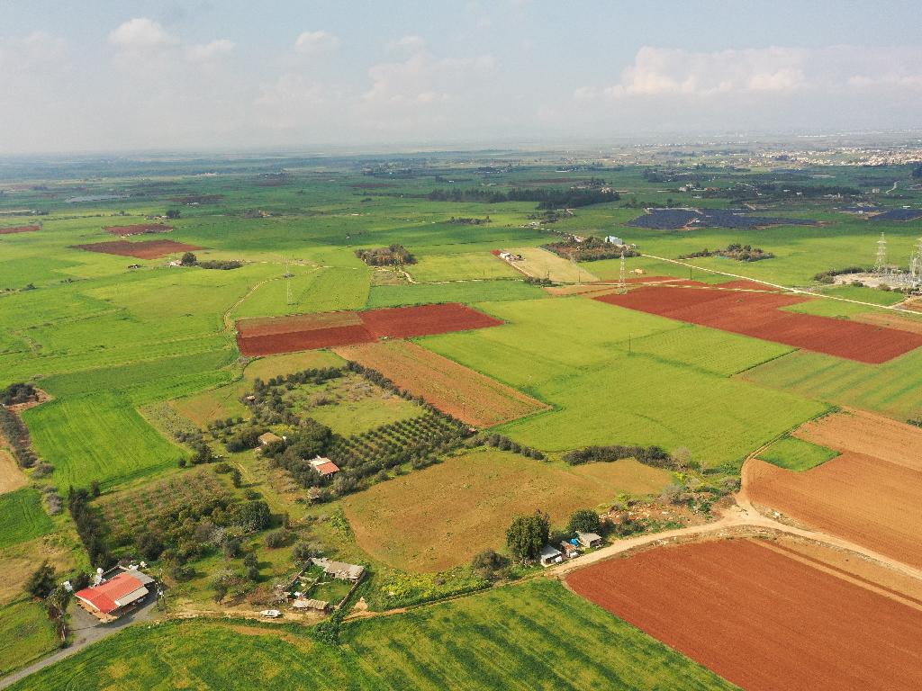 Field-Frenaros-PR35016