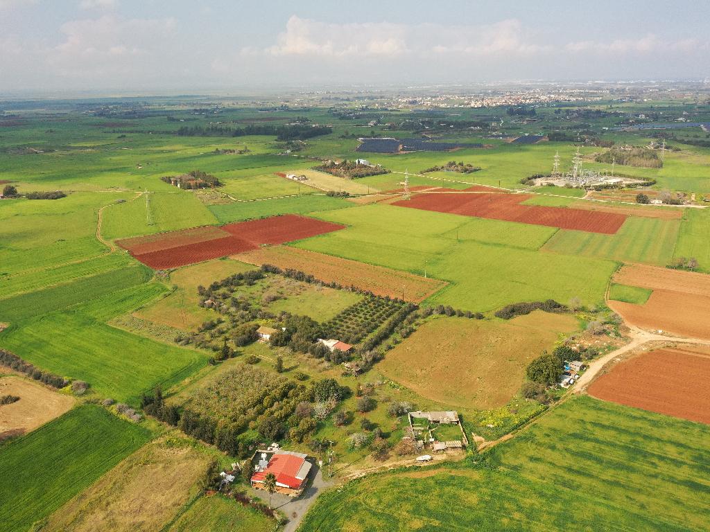 Field-Frenaros-PR35016