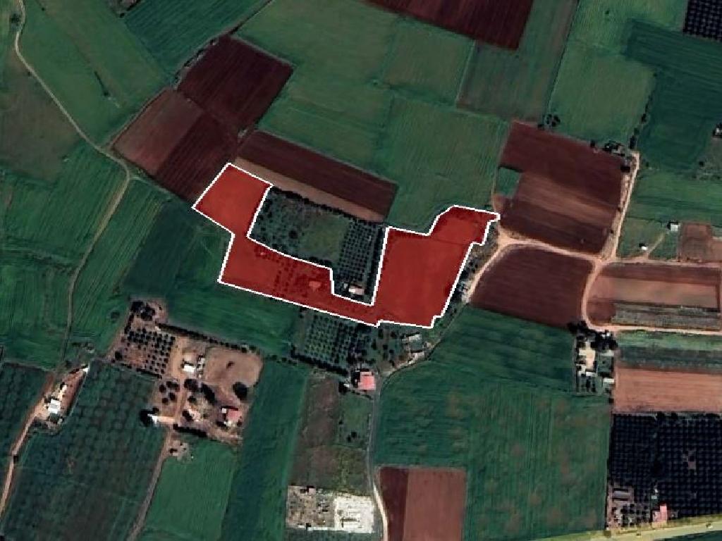 Field-Frenaros-PR35016