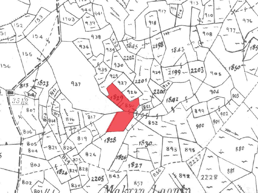 Field-Fterikoudi-PR38848