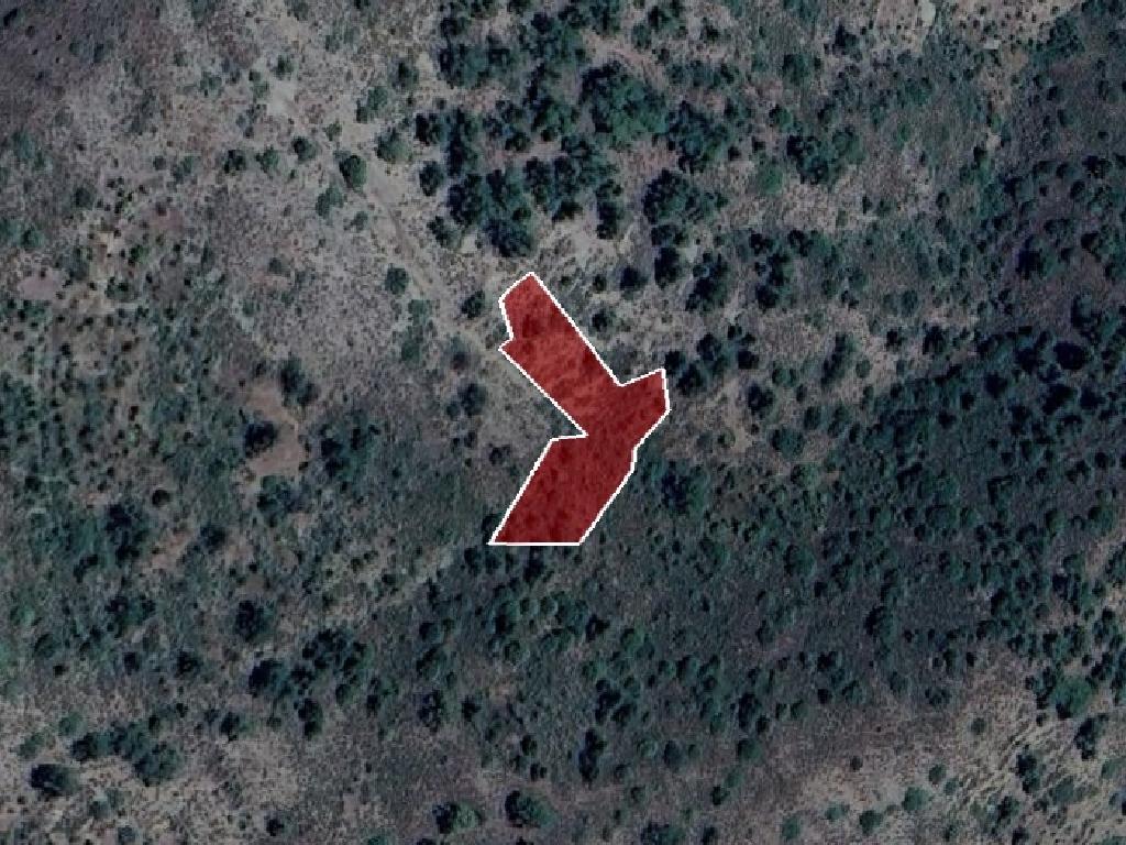 Field-Fterikoudi-PR38848