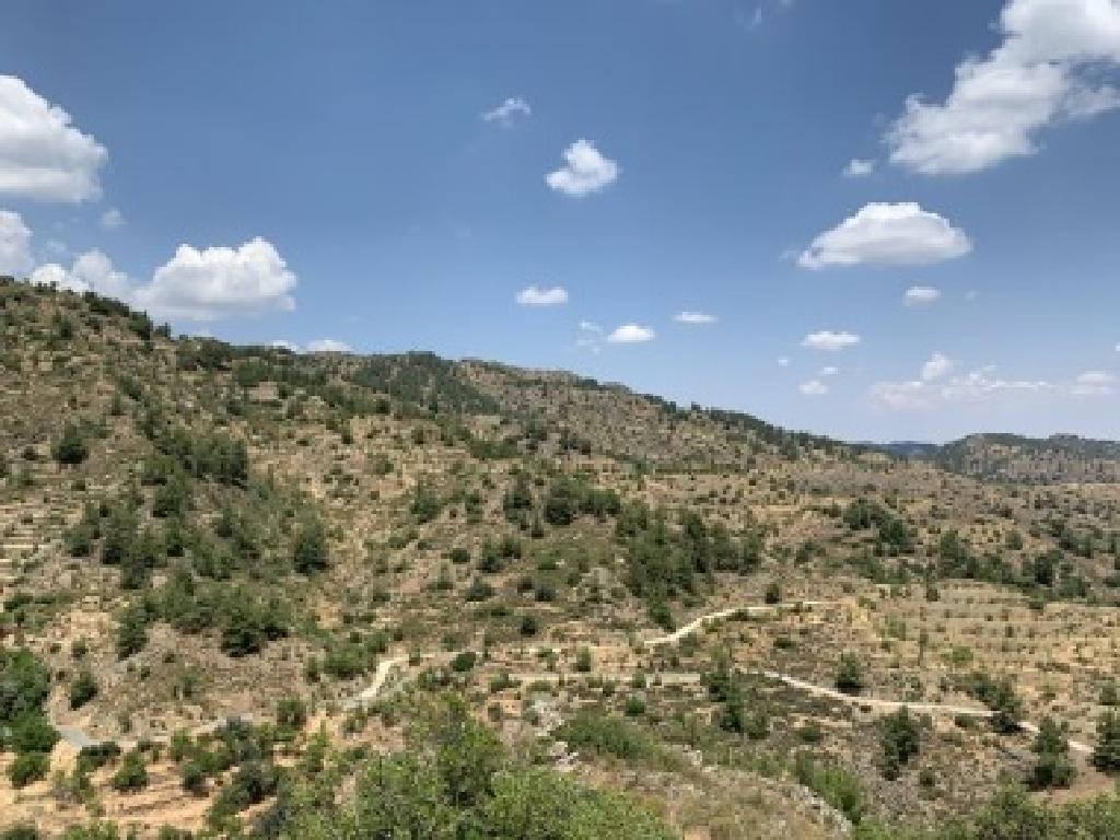 Field-Fterikoudi-PR38848