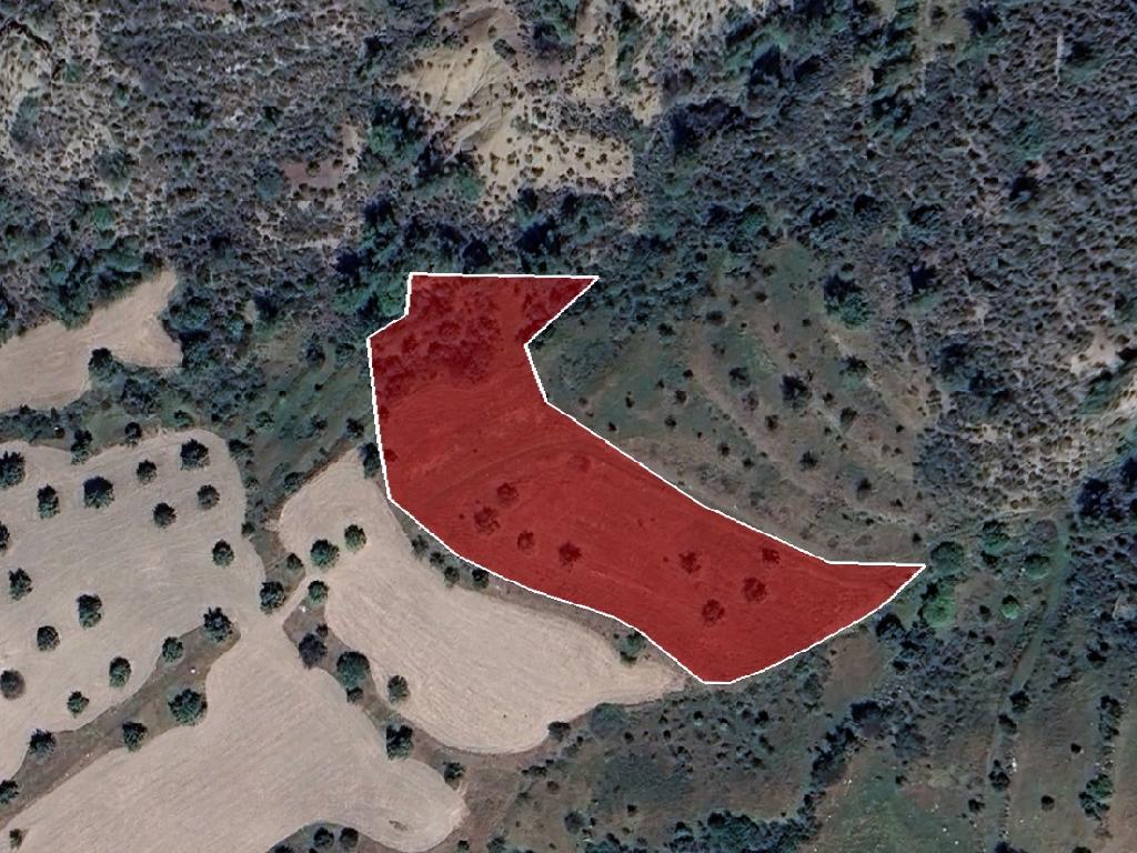 Field-Kynousa-PR39484