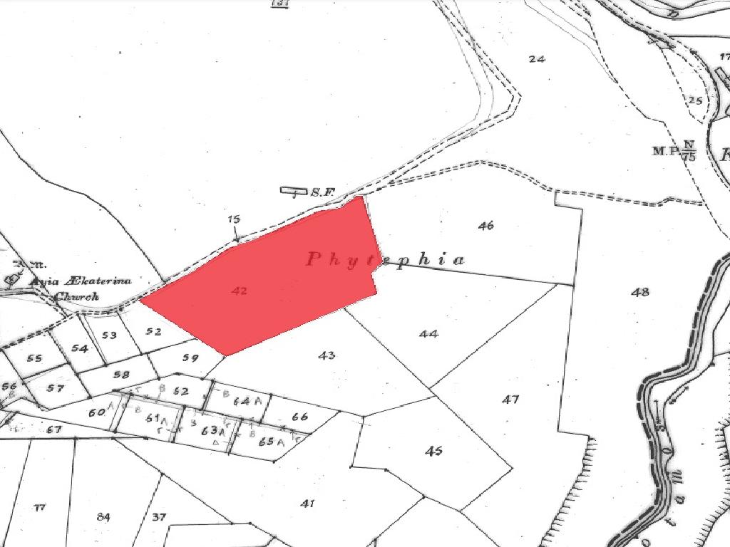 Field-Kritou Terra-PR41270