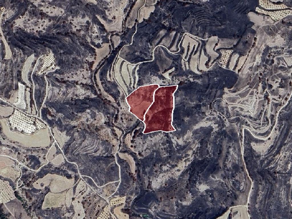 Field-Polemi-CP10060