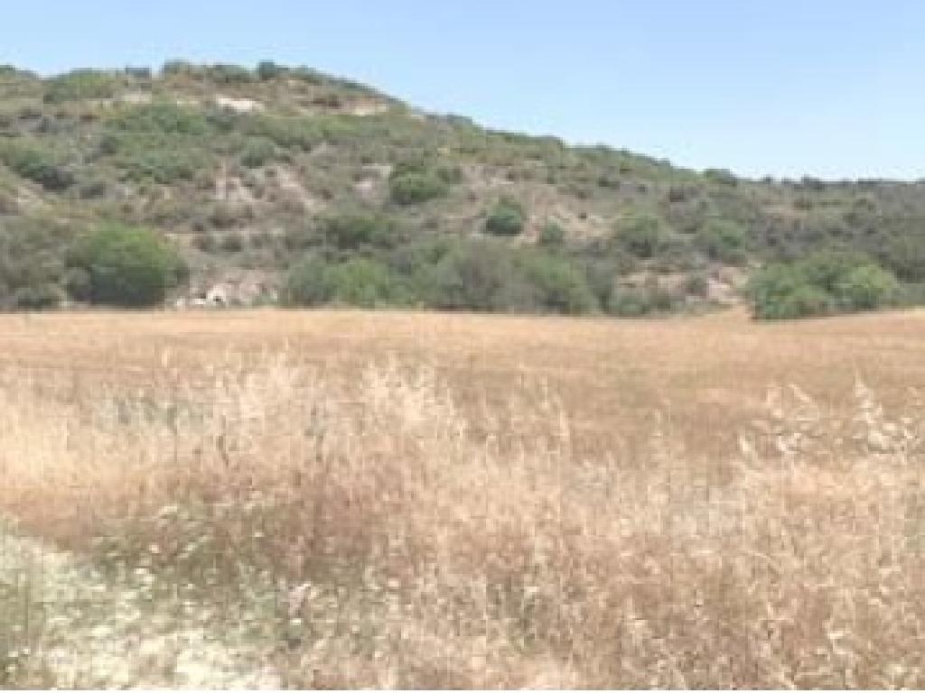 Field-Polemi-CP10060