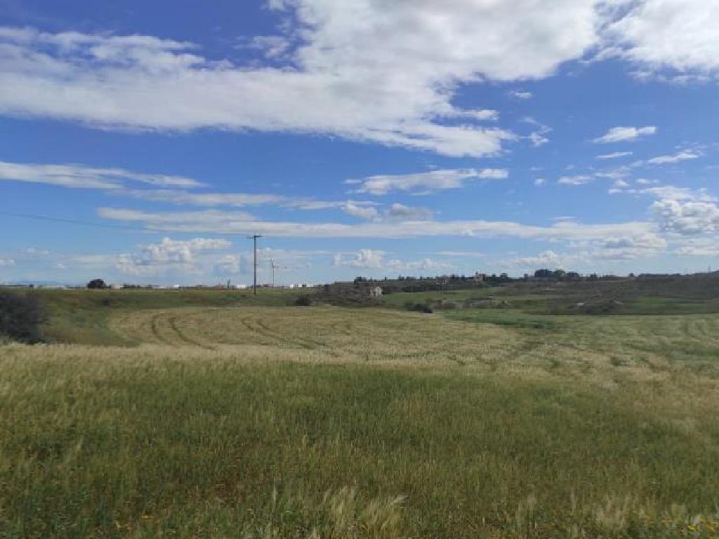 Field-Lakatameia-PR43061