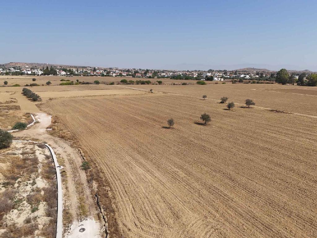 Field-Pano Deftera-PR43123