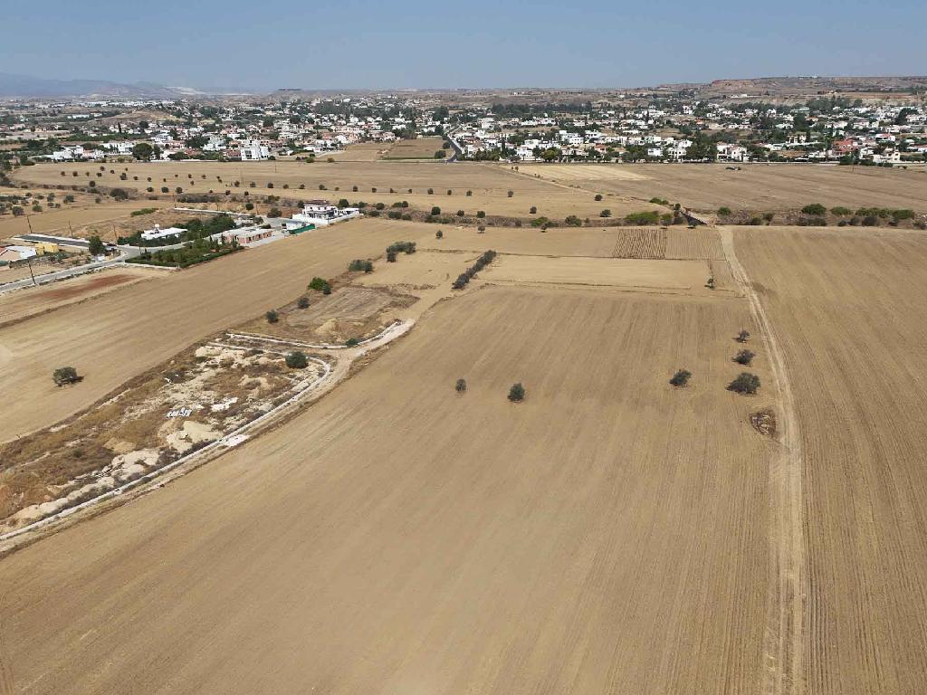 Field-Pano Deftera-PR43123