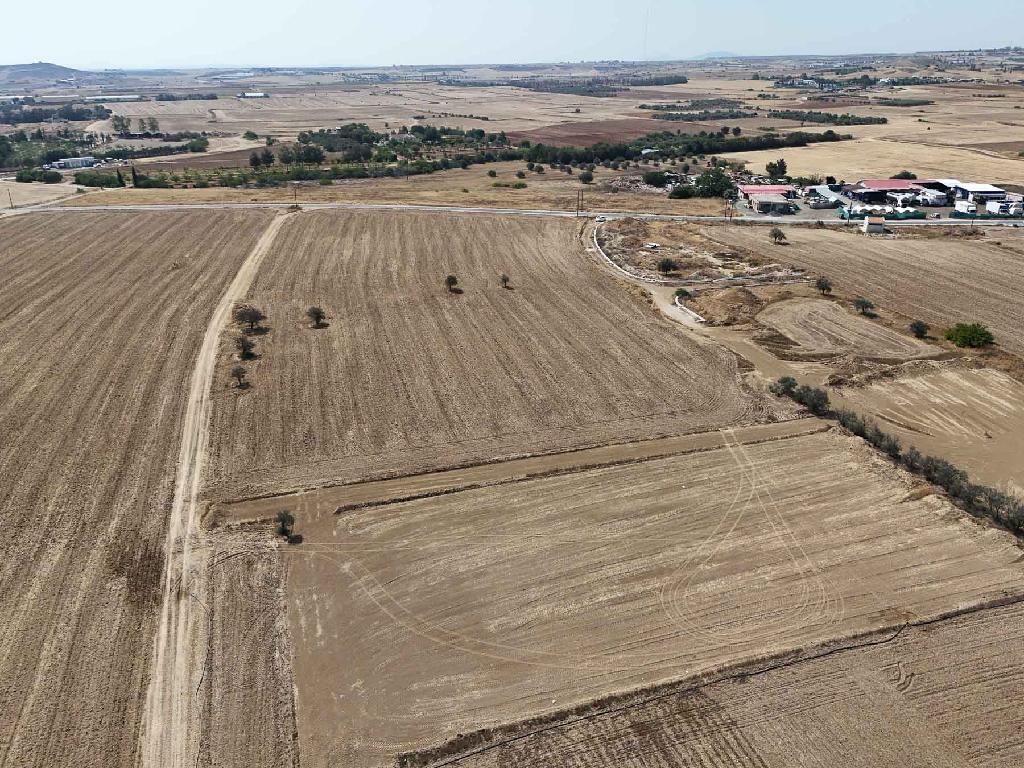 Field-Pano Deftera-PR43123