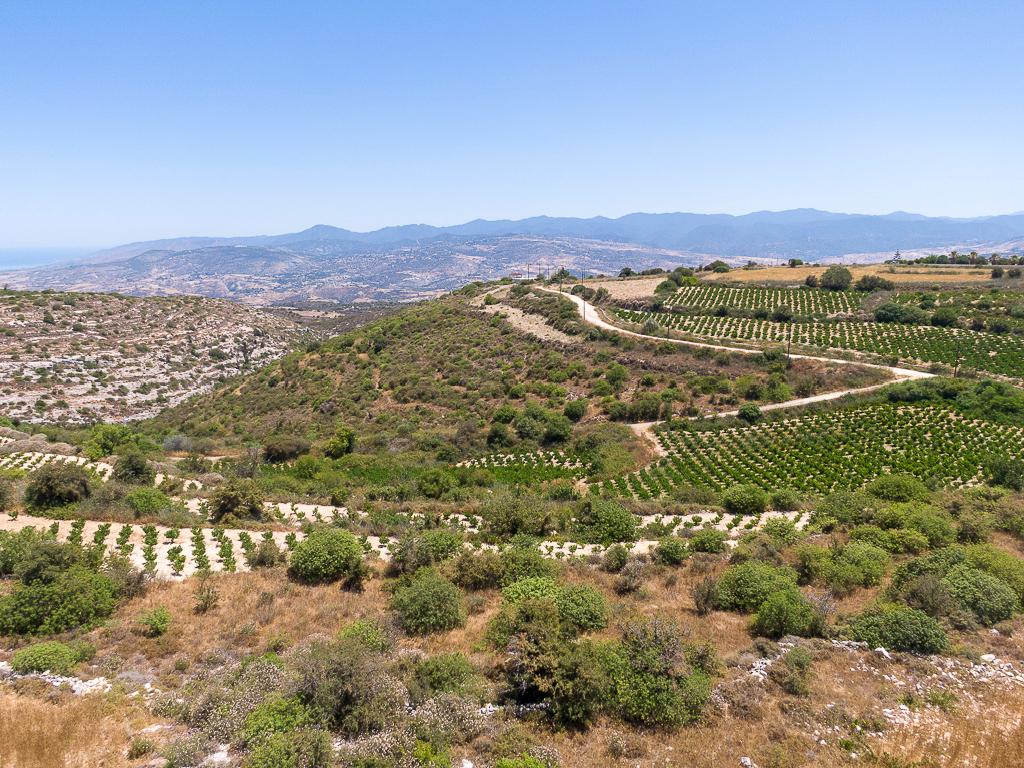 Field-Pano Arodes-PR43301